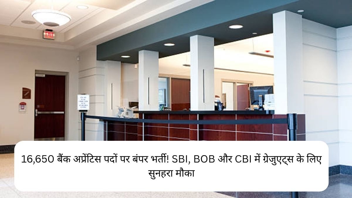 16,650 बैंक अप्रेंटिस पदों पर बंपर भर्ती! SBI, BOB और CBI में ग्रेजुएट्स के लिए सुनहरा मौका